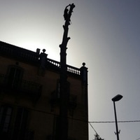 Poda de árboles de difícil acceso en Barcelona