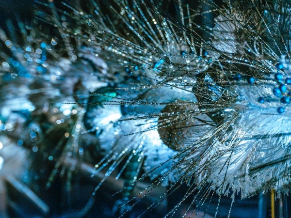 El coste ambiental después de las fiestas de Navidad