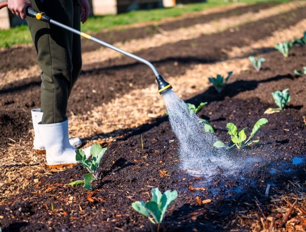 Jardineria a domicilio en Barcelona