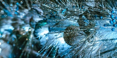 El coste ambiental después de las fiestas de Navidad