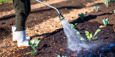Jardineria en Barcelona a domicilio