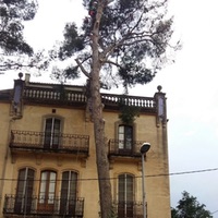 Poda de árboles de difícil acceso en Barcelona